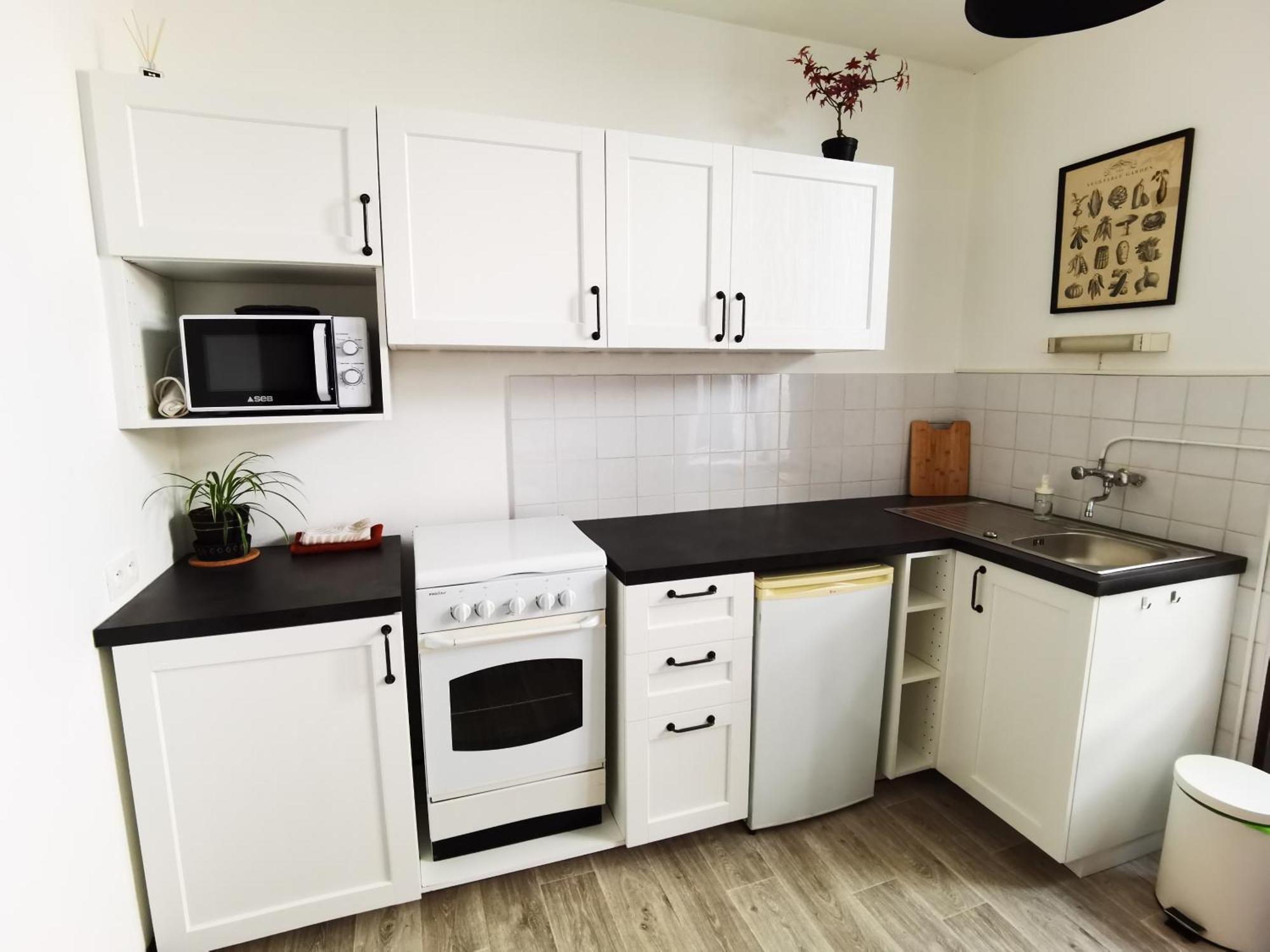 Les Camelias Apartman Mont-Dore Kültér fotó
