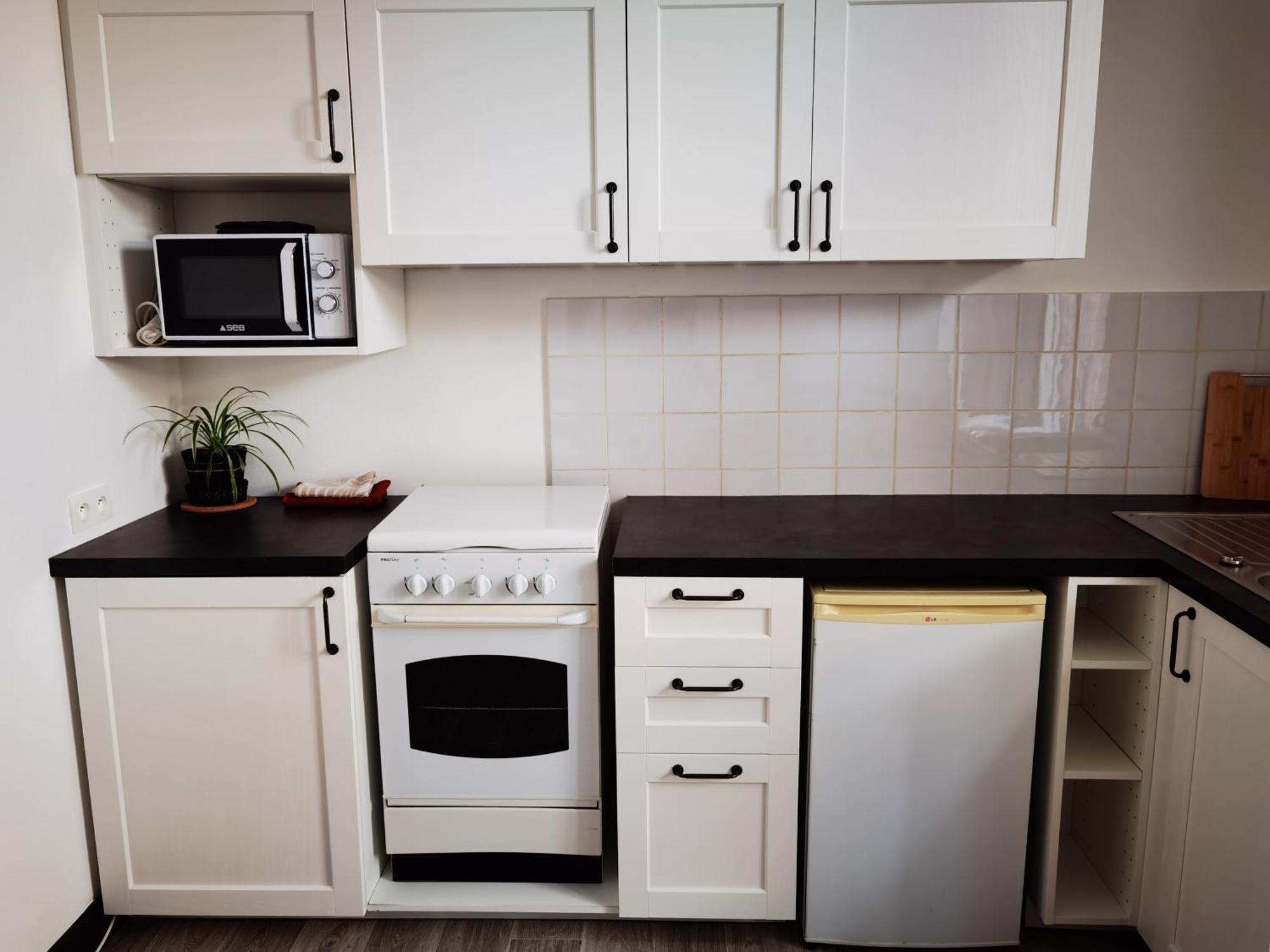 Les Camelias Apartman Mont-Dore Kültér fotó